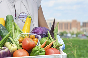 Organic Farm