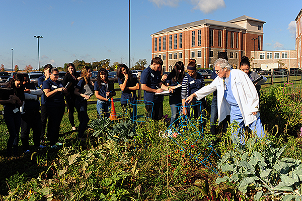 St. Luke’s Employee Community Garden