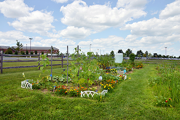 St. Luke’s Employee Community Garden