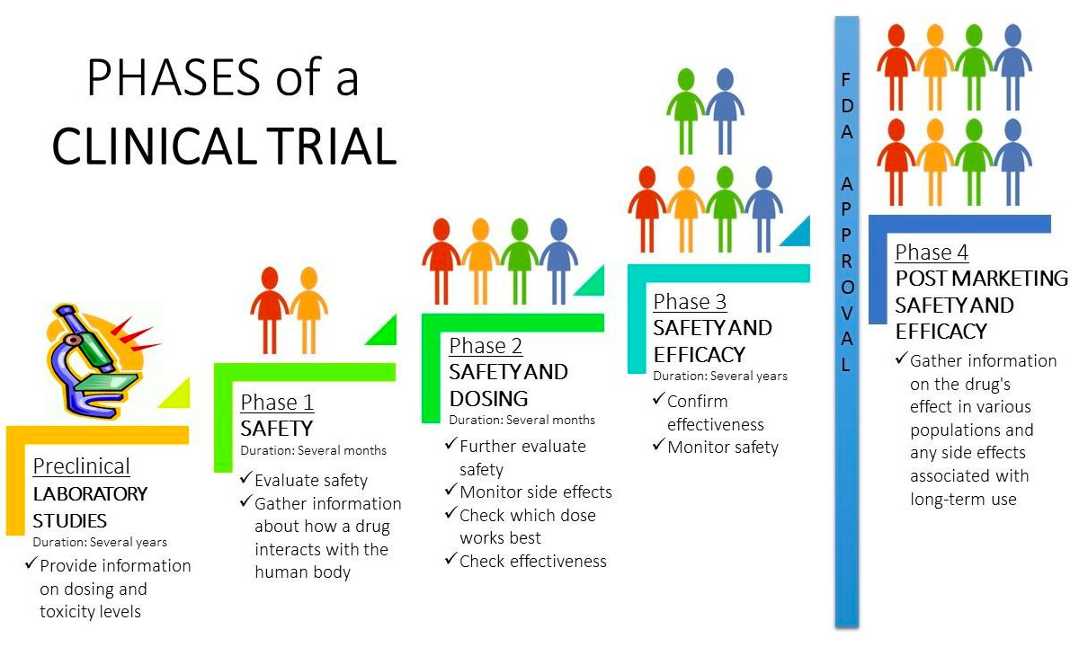 clinical research process steps