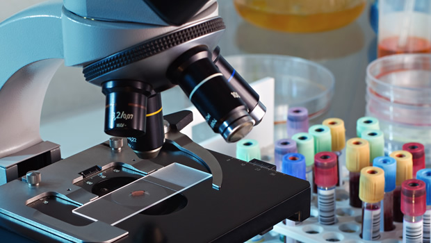 lab