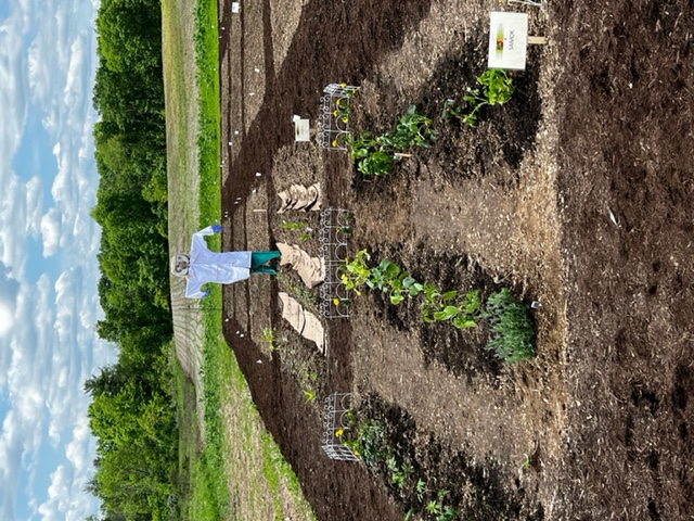  St. Luke’s Community Gardens at Carbon Campus