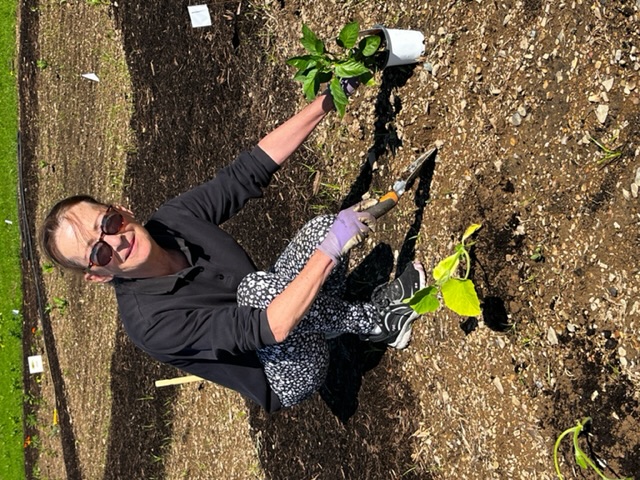  St. Luke’s Community Gardens at Carbon Campus