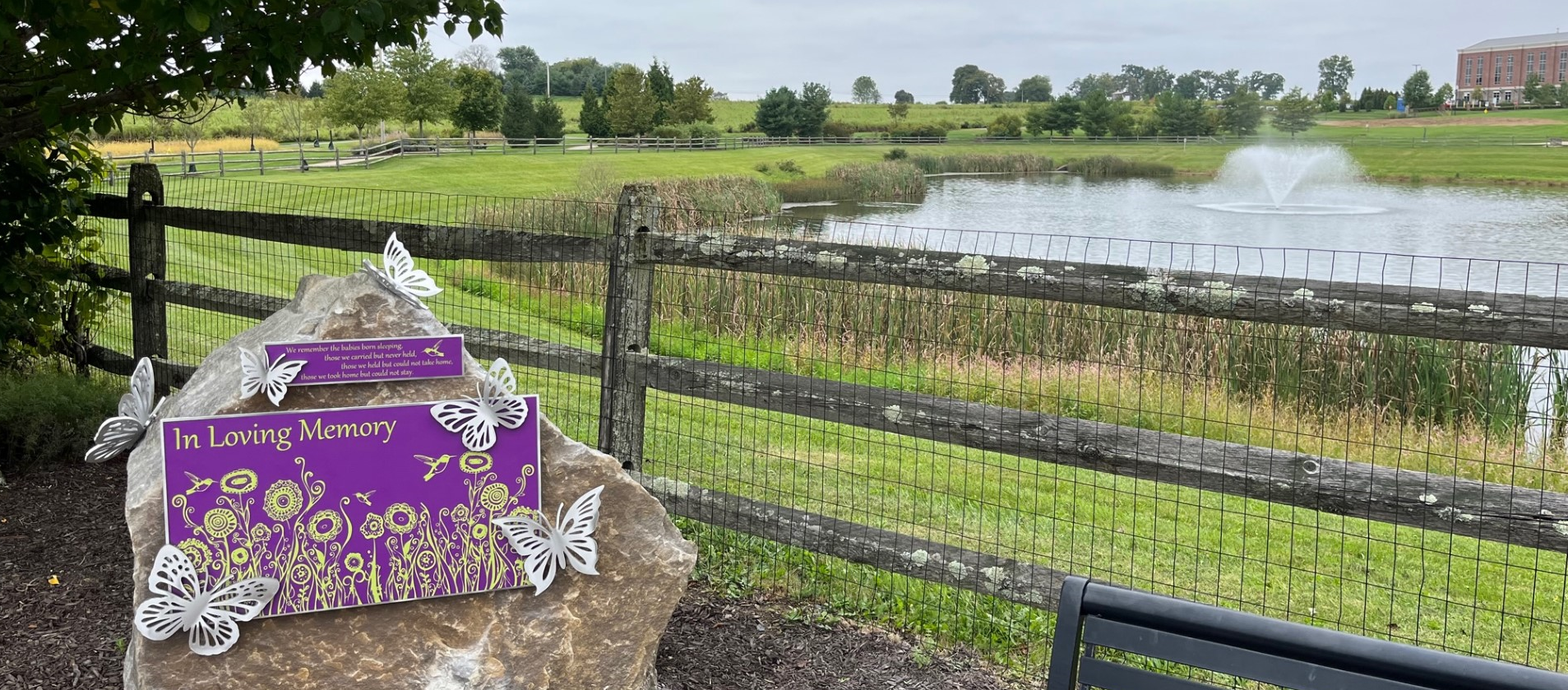 Perinatal Neonatal Plaque