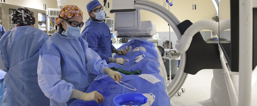 Vascular Surgery Fellowship