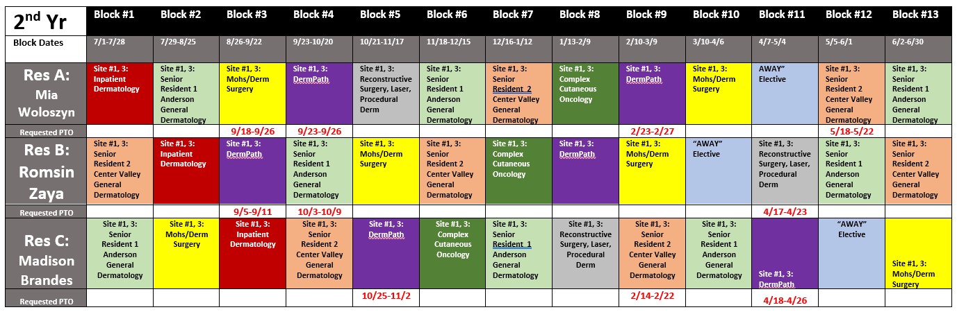 Derm 2025 Second Year Rotation Blocks