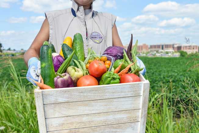 Produce from the onsite organic farm at Anderson Campus.