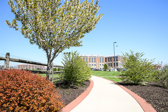Walking path at Anderson Campus