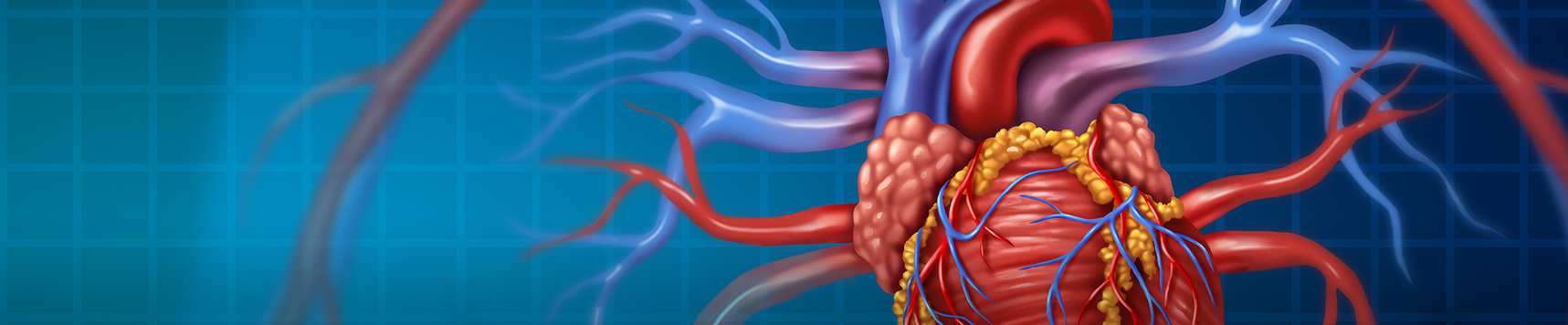 Cardiac Surgeons