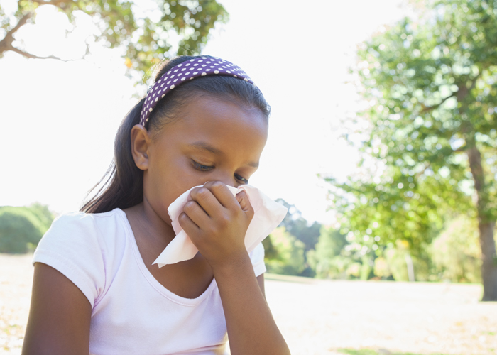 Allergy Season