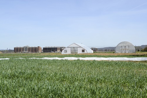 Cover crop planted for Season 3 of the farm