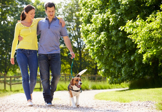 older couple walking dog
