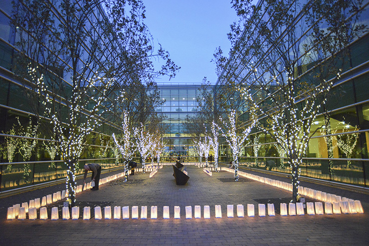 Hospice Luminaria