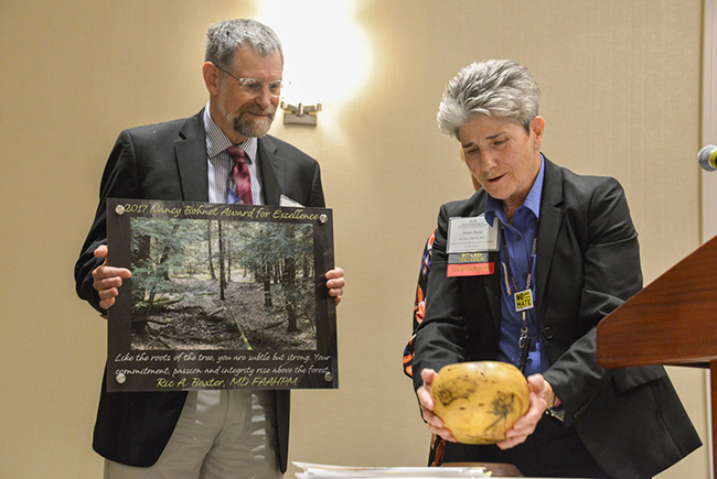 Lifetime Achievement Award