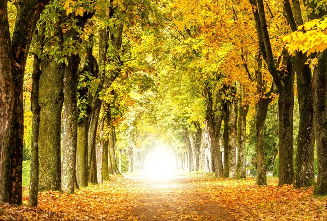 John Graham, Senior Director, St. Luke&rsquo;s Fitness &amp; Sports Performance, has developed testing and training programs that will help Lehigh Valley United identify players based on speed, agility, quickness and strength that fit within the frameworks of USA Soccer&rsquo;s player identification process.