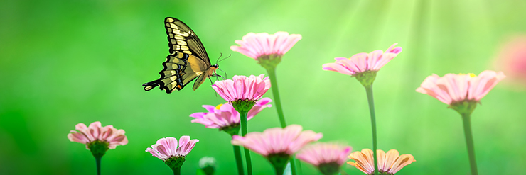 John Graham, Senior Director, St. Luke&rsquo;s Fitness &amp; Sports Performance, has developed testing and training programs that will help Lehigh Valley United identify players based on speed, agility, quickness and strength that fit within the frameworks of USA Soccer&rsquo;s player identification process.