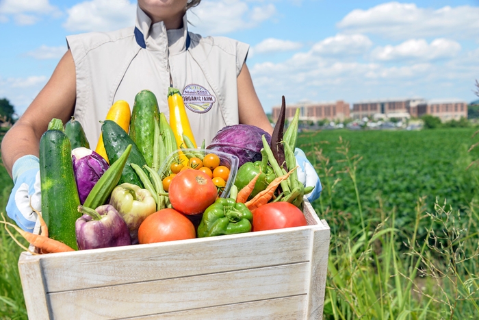 Vegetables in a box