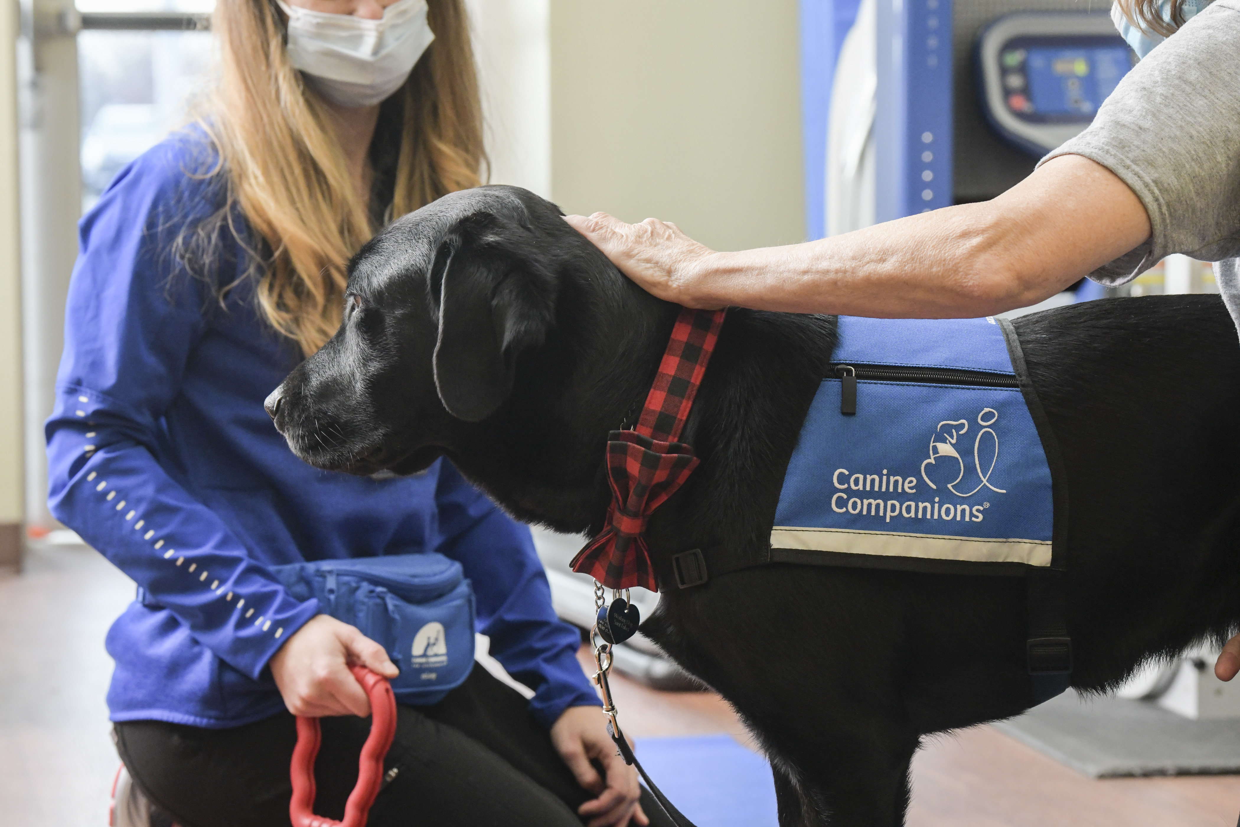 Norton Healthcare celebrating its staff of facility dogs