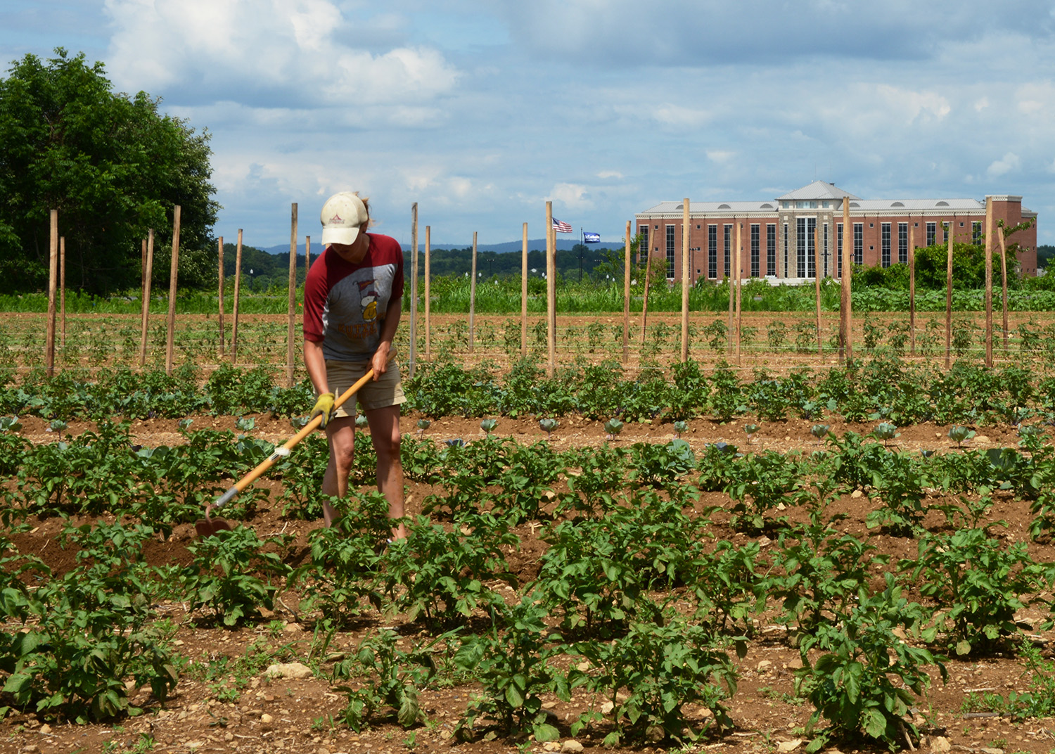 Organic Farm