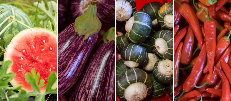 St. Luke’s Rodale Institute Organic Farm - Vegetables