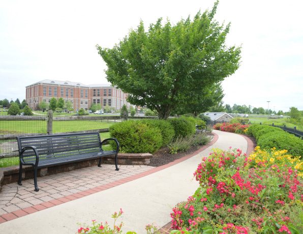 Anderson campus walking path