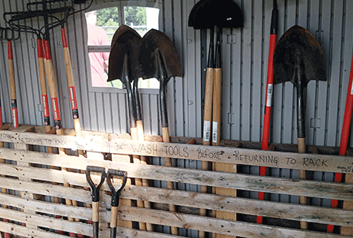 Garden tools inside of a shed