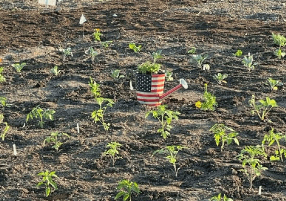 American flag painted watering can in a dirt field