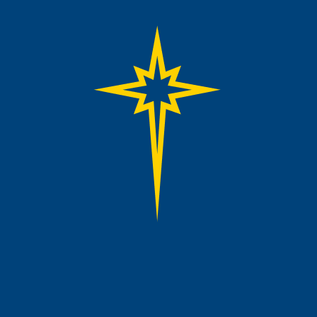 St. Luke's University Health Network Star