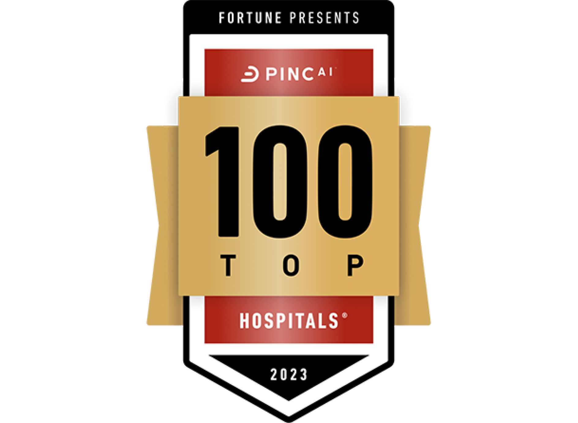 100 Top Hospitals 2023