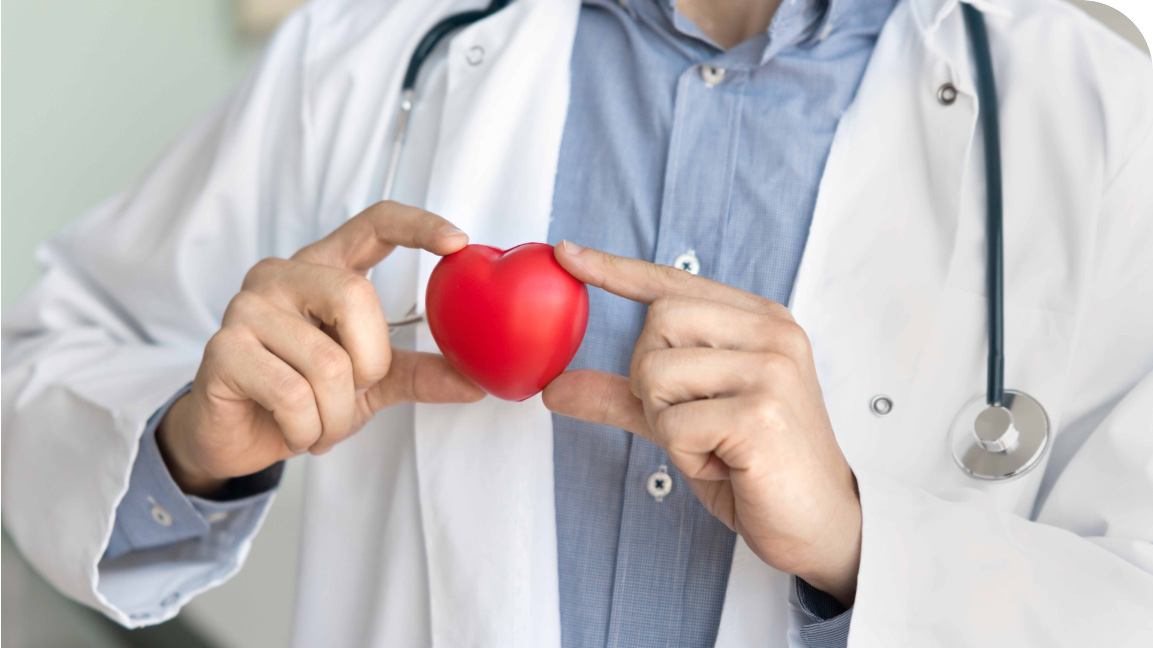 Medical Professional holding a heart