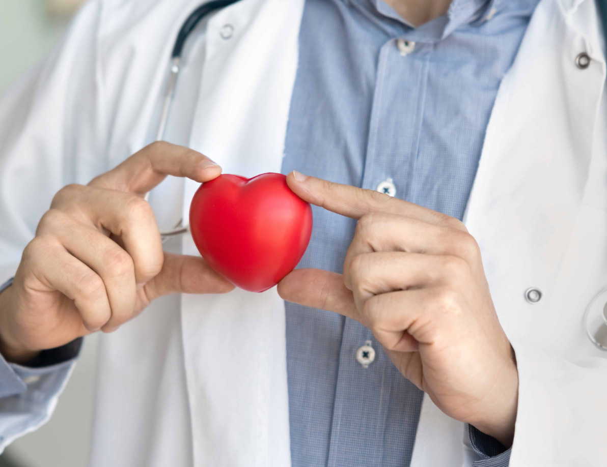Medical professional holding a heart