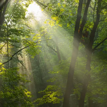 vna-comp-therapy_moments