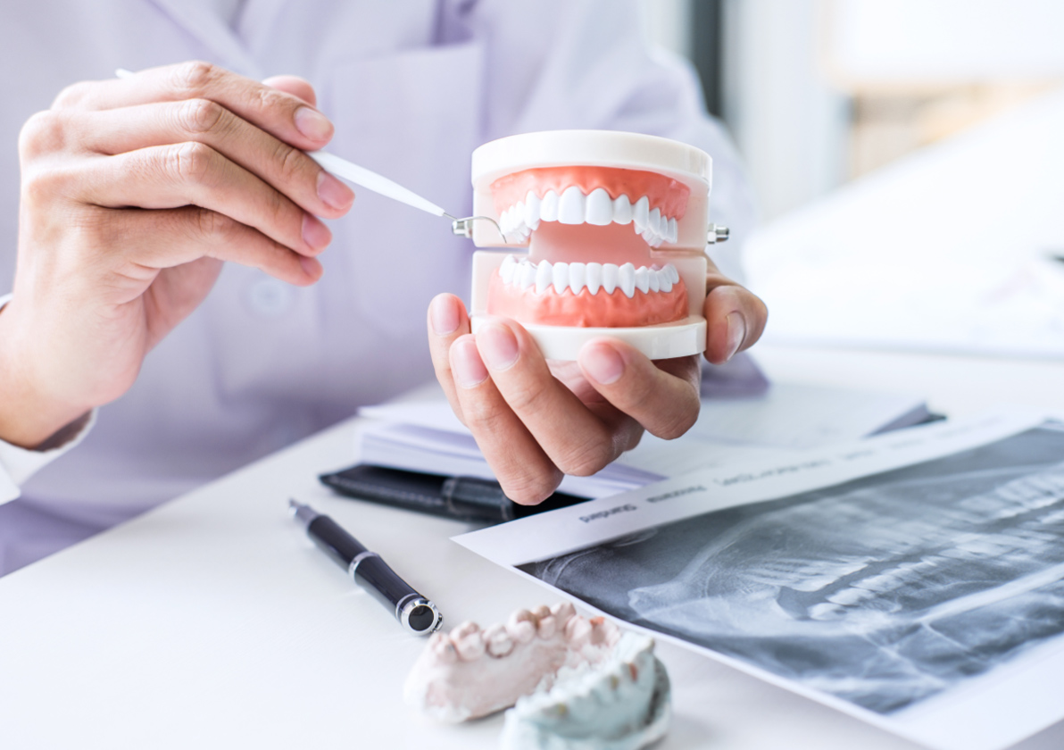 Medical professional practicing on a 3D dental model