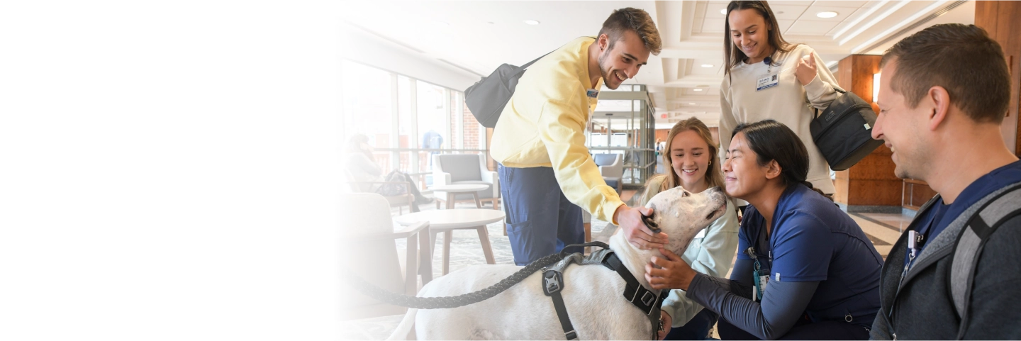 Group of young adults gathering around a pet therapy dog