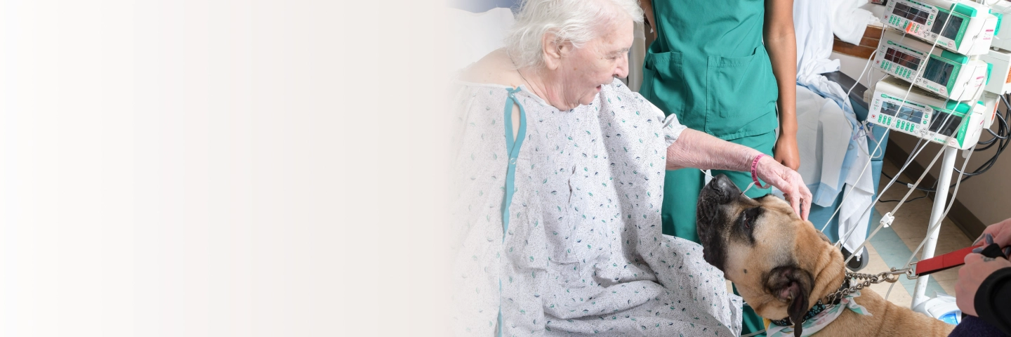 Elderly patient petting a therapy dog