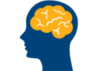 Head icon highlighting brain